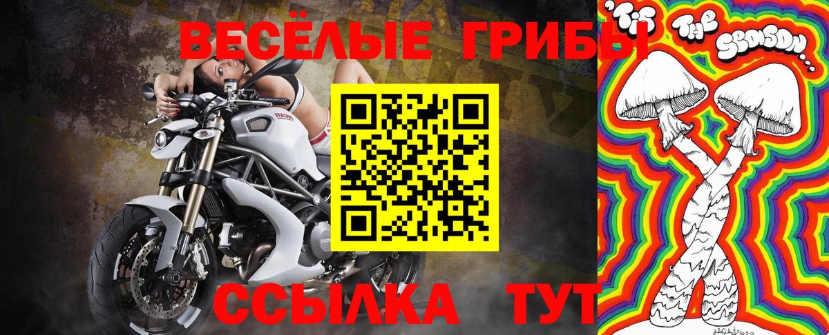 Советск  Псилоцибиновые грибы Psilocybe  Вход с VPN 